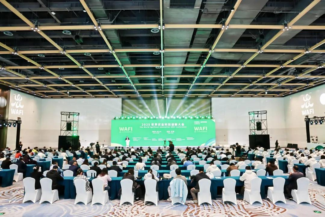 2027第24届中国国际化工展览会